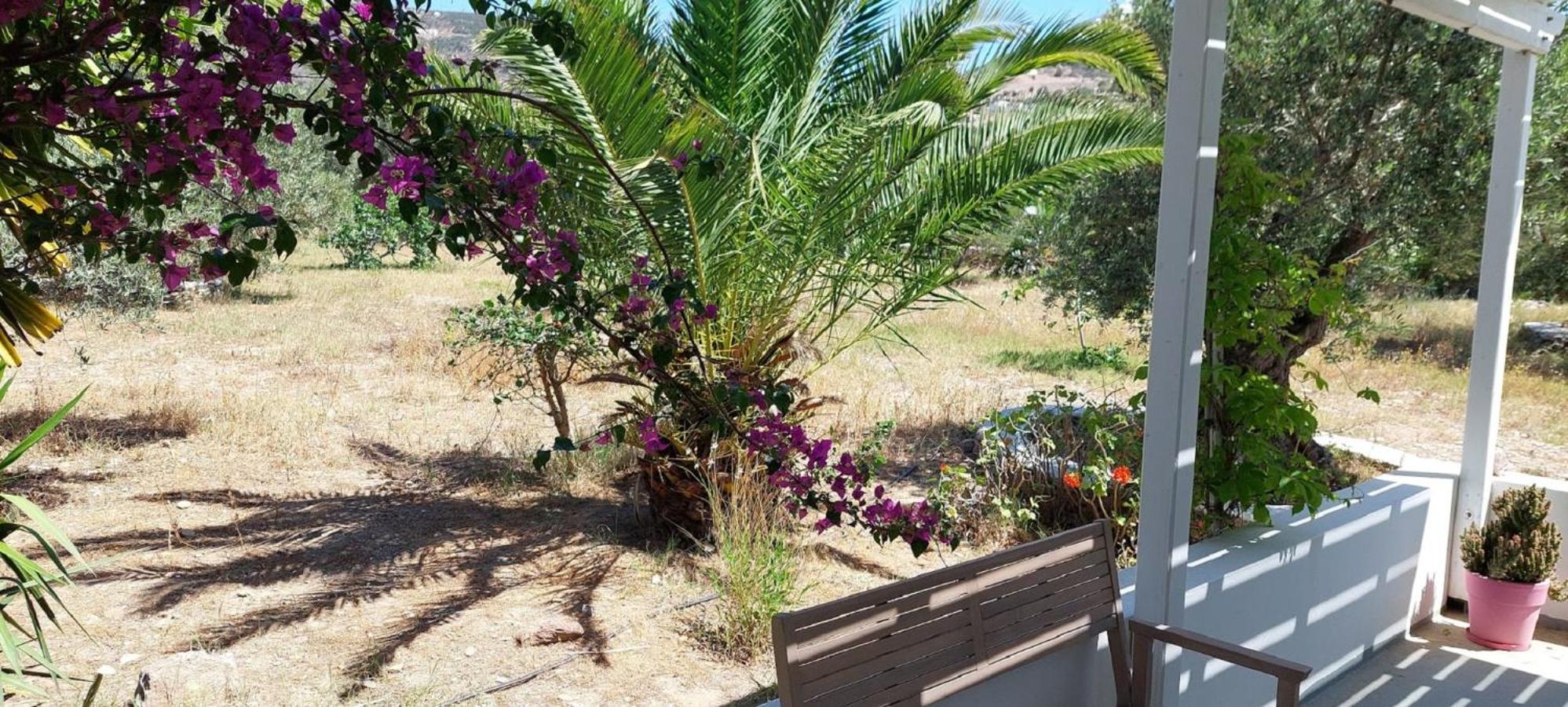 Elisso Villas Platis Gialos  Exterior foto